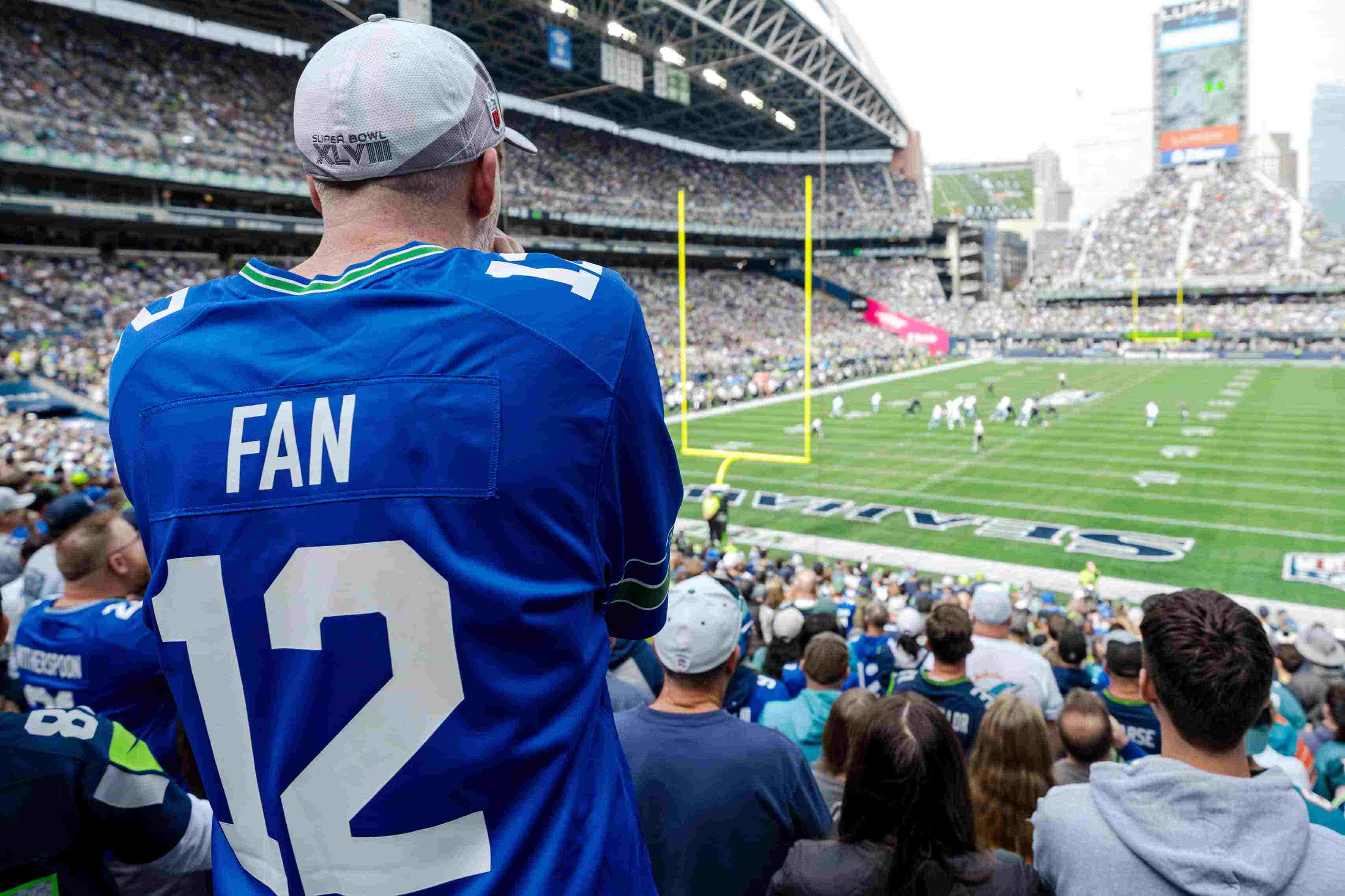 Seattle Seahawks Fan